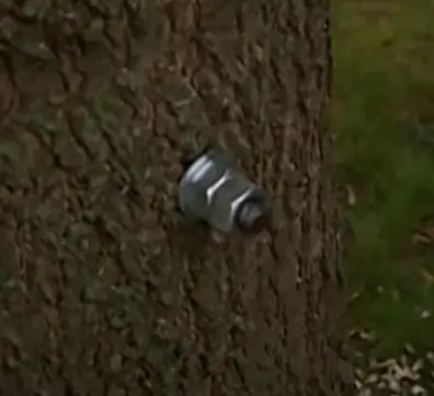 double-lock-nuts-on-threaded-rod-tree-bracing-silver-maple