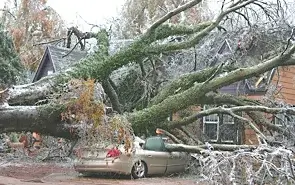 ice-covered-tree-crushing-car-roof