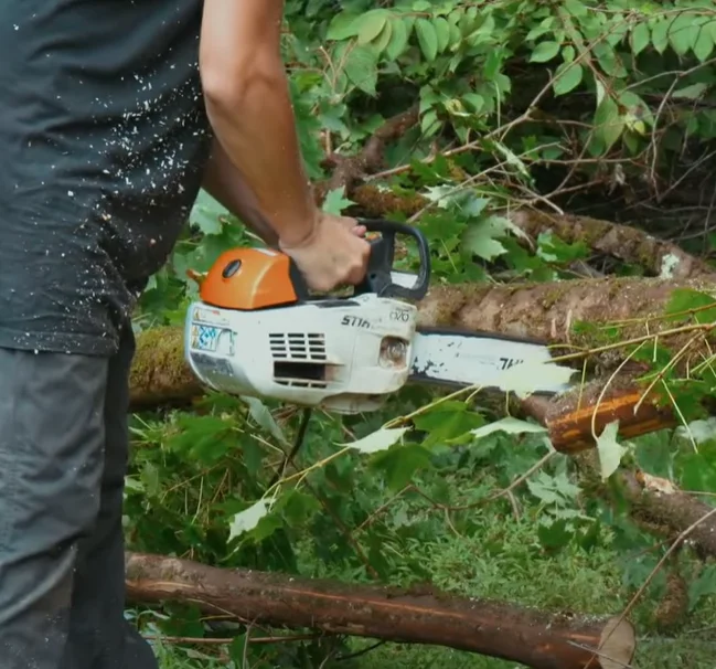 stihl-chain-saw-limb-cutting-pruning