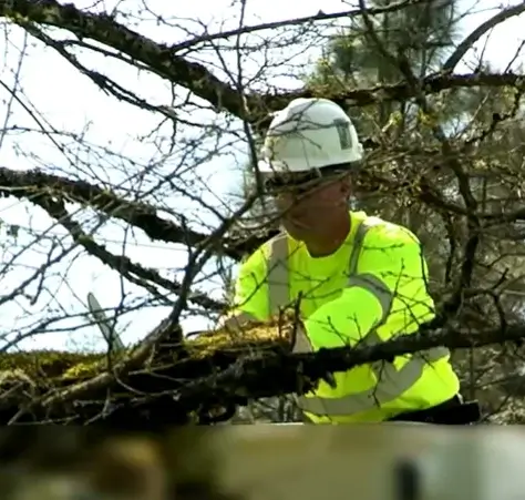 tree-worker-trimming-storm-damage-from-bucket-truck