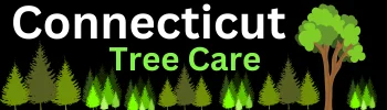 connecticut-tree-care-website-logo